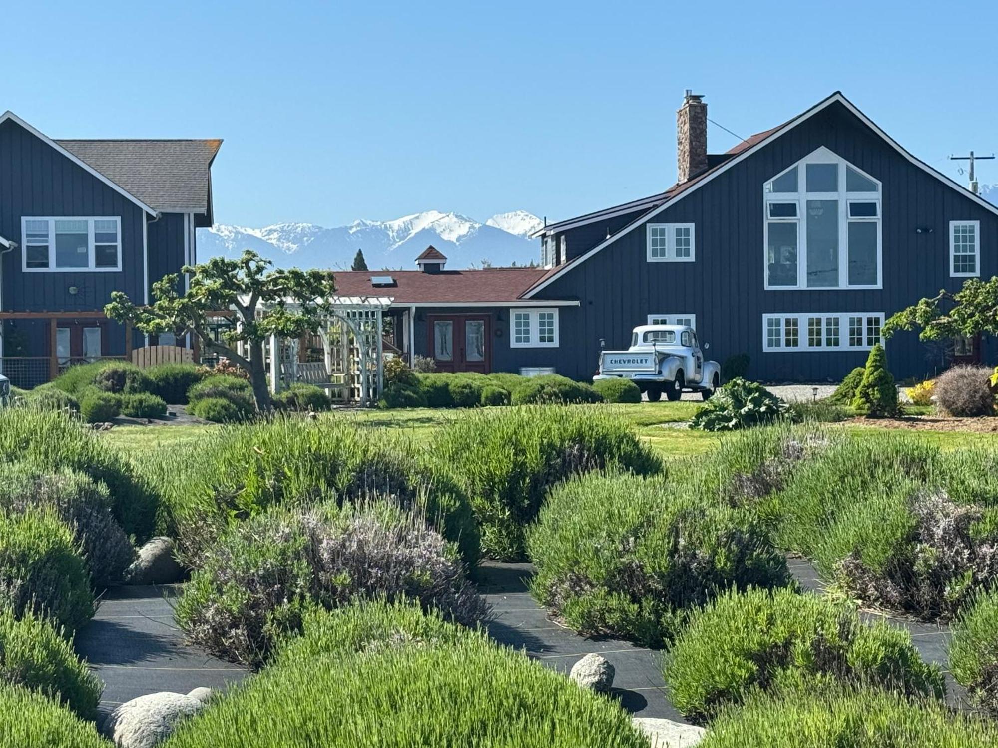 סקווים Dungeness Barn House Bed And Breakfast At Two Crows Farm מראה חיצוני תמונה