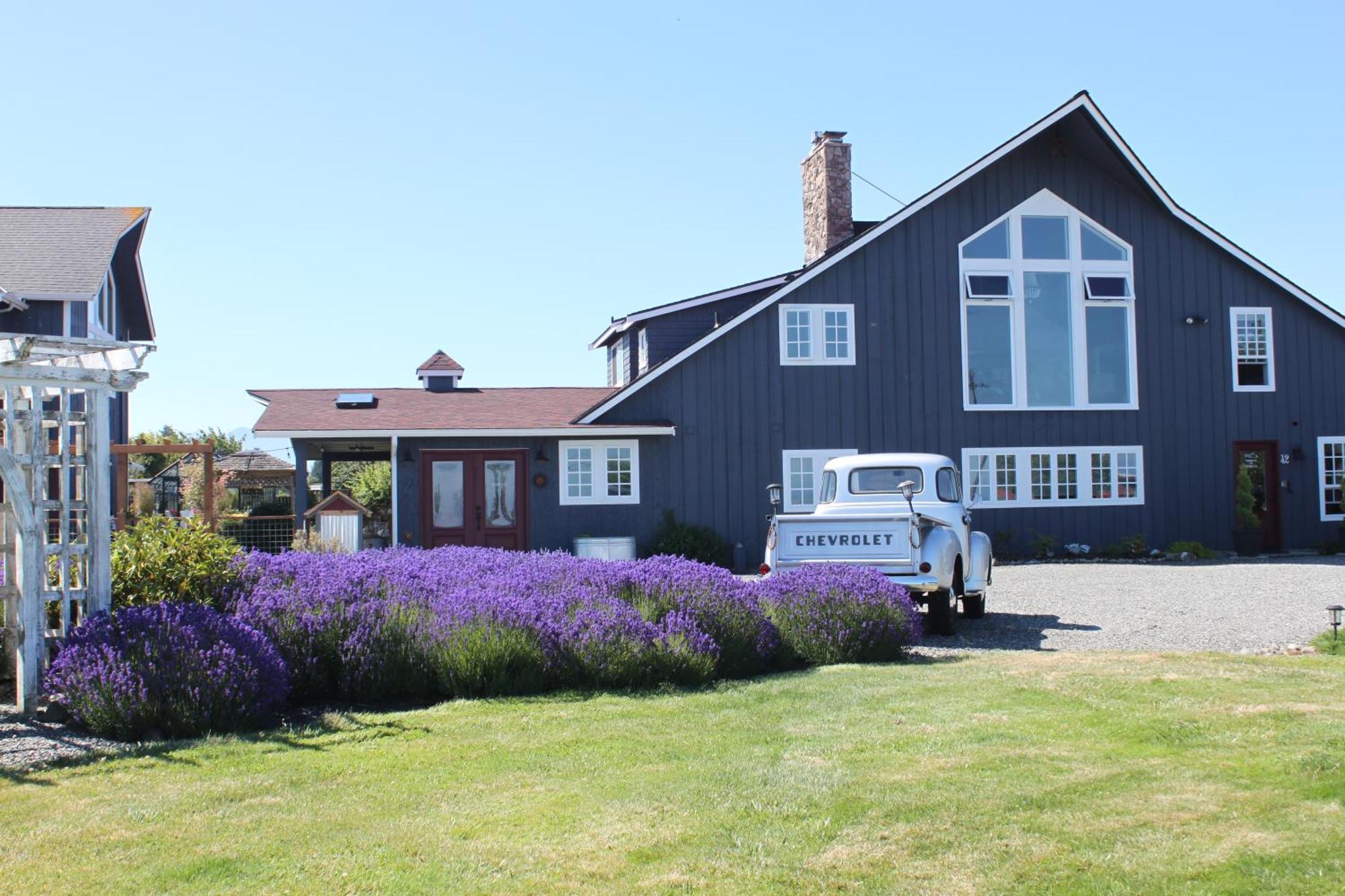 סקווים Dungeness Barn House Bed And Breakfast At Two Crows Farm מראה חיצוני תמונה