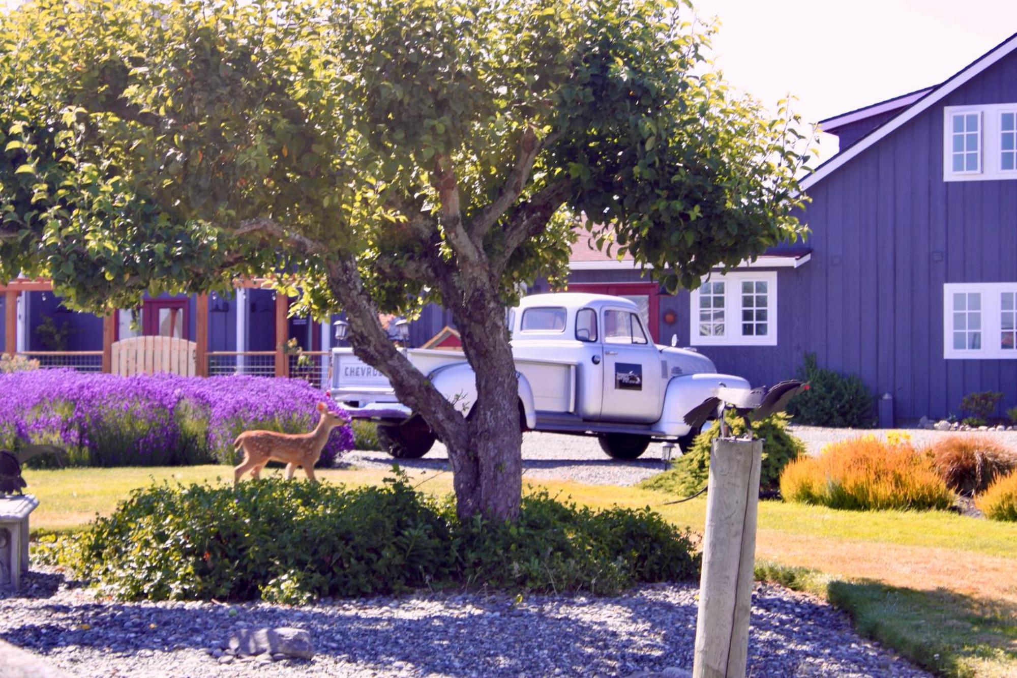 סקווים Dungeness Barn House Bed And Breakfast At Two Crows Farm מראה חיצוני תמונה