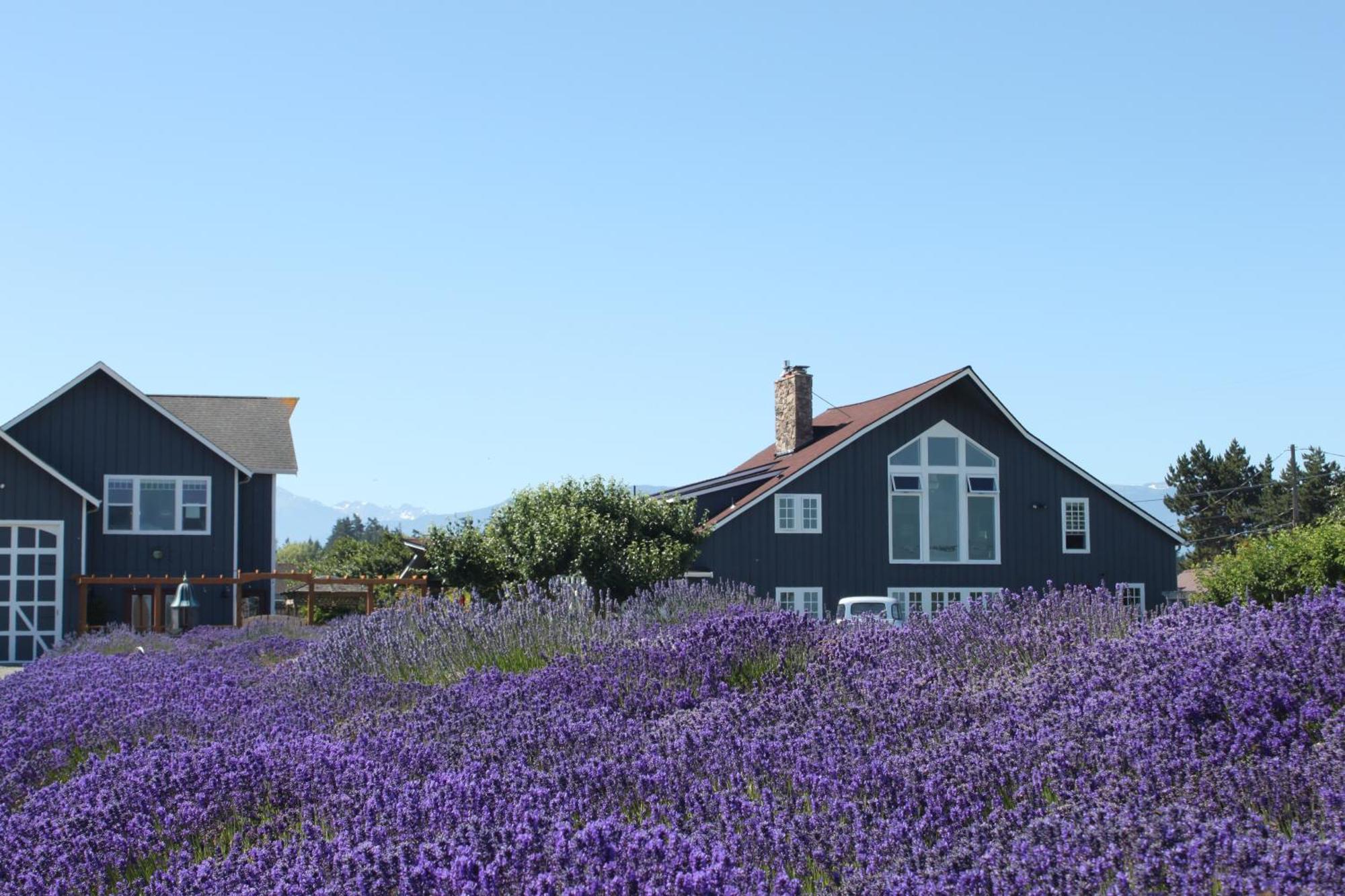 סקווים Dungeness Barn House Bed And Breakfast At Two Crows Farm מראה חיצוני תמונה
